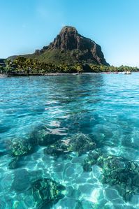 Mauritius: <b>Schwimmen mit Delfinen</b> w/ <em>Vitamin Sea</em>