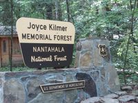 Joyce Kilmer Memorial Forest In Robbinsville North Carolina Is Plucked From The Pages Of A Storybook