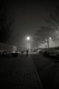 Original Art Black & White/Gelatin/Platinum Photography, measuring: 79.25W x 118.87H x 0.25D cm, by: Dan Cristian Lavric (Romania). Styles: Fine Art, Conceptual. Subject: Light. Keywords: Post, Night, Haze, Shadow, Light, November, Fogg, Autumn, Cold. This Black & White/Gelatin/Platinum Photography is one of a kind and once sold will no longer be available to purchase. Buy art at Saatchi Art.