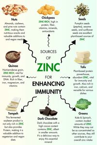 A diet incorporating zinc-rich foods is crucial for maintaining overall health. Oysters, boasting high zinc content per serving, are an exceptional seafood choice. Lean beef offers both protein and zinc, while pumpkin seeds, a snack favorite, provide a convenient plant-based source. Chickpeas and nuts, including almonds and cashews, enrich a vegetarian diet with this essential mineral. Whole grains like quinoa contribute to daily zinc intake, promoting immune function & physiological processes.