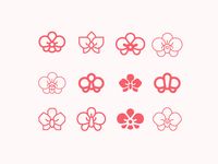 Orchid flower - icons by Aga Jucha