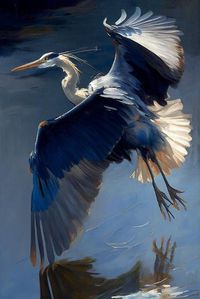 'Flying Great Blue Heron' Art Print - Vivienne Dupont | Art.com