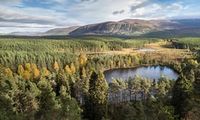 Homage to the Scottish Highlands: walking in the Cairngorms | Travel | The Guardian