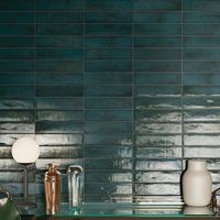 Storied 2.5x10 Ceramic by Florida Tile - Wall Tile in Glossy Hues