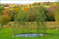 creating living willow structures, with michael dodge - A Way To Garden