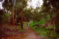 Hoyt Park | Hidden San Diego