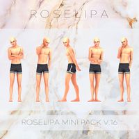 [ROSELIPA] MINI PACK V.16 | Patreon