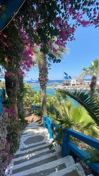 #greece #cretegreece #kreta #crete #griechenland #meer #aesthetic #summer #summervibes #palmtrees #palm #sissi #sun