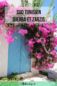 Le Sud Tunisien, l'île de Djerba et son souk, une des plus anciennes synagogue d'Afrique, Djerbahood, un petit village de l'île transformé en galerie de street art et Zarzis, station balnéaire plus calme mais tout aussi charmante... Que faire dans ces deux villes, où manger, où trouver une eau cristalline ? Tout est dans l'article !