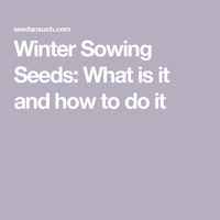 Winter Sowing Seeds: What is it and how to do it