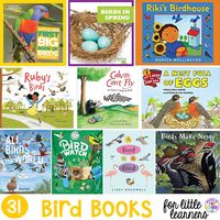 Bird Books for Little Learners - Pocket of Preschool