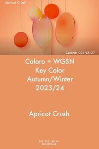 WGSN Key Color Apricot Crush A/W 2023/24 #trends #color #wgsn #coloro