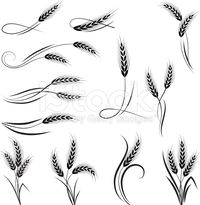 Wheat ornament royalty-free stock vector art