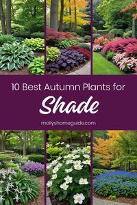 Discover the beauty of fall gardening with our collection of the best fall plants for shade. Whether you're looking for stunning fall-blooming perennials or gorgeous annuals that thrive in the shade, we have you covered. Make your shade garden pop this season with these beautiful fall flowering perennials and annuals. From companion plants for hostas to tips for planting a thriving shade garden, find everything you need to create a vibrant autumn landscape.