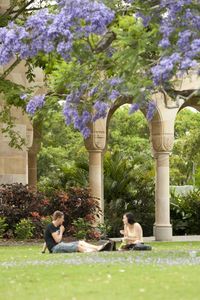 Jacaranda flowers  Two students sitting on the grass in the Great Court, with Jacarandas and sandstone backdrop  Copyright 2013 The University of Queensland, all rights reserved