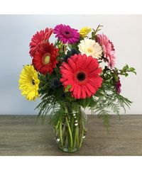 SKUs: ,MAMA 15 gerbera daisies in mixed bright colors with blue thistle accents! The mother version of our Sassy Daisies arrangement. Upgrade to add half a dozen pink roses!