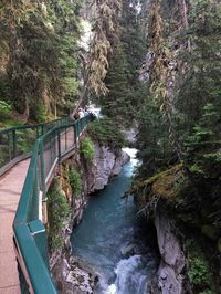 Hiking Banff With Kids: 7 Easy Hikes In Banff National Park