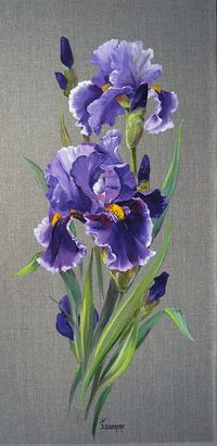 Les peintres :: Iris Grand Barbu