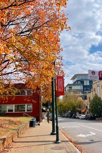 fayetteville, arkansas, razorbacks, fayetteville arkansas, autumn, fall leaves