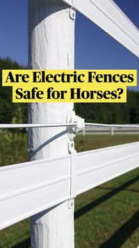  

Unlike the kick from actual horses, the ''bite'' horses feel from an electric fence is short-lived and doesn’t physically harm your horse. The electric current acts as the Alpha in the pecking order, so your horses are safely contained within their boundaries! 

In the wild, horses are herd animals, meaning there is a hierarchy among them. Horses will respect the bite, nudge, nip, or kick from the alpha/dominant horse. Electric fencing provides that ''nip'' and helps teach horses to respect the barrier. It makes perfect sense to our horses; the fence is saying ''stay away''.


 • 📺 Watch to learn more: https://youtu.be/B-4X-vSa5MA


 • 🛒 Shop electric horse fencing: https://www.rammfence.com/fence/electric-horse-fence/

