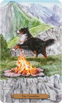 magical dogs tarot sky - Google-Suche