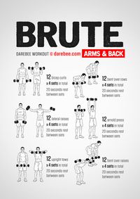 Brute: Arms & Back Workout