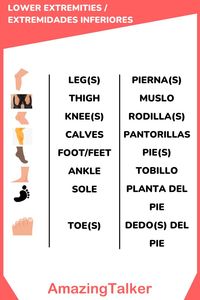 Los nombres de las extremidades inferiores del cuerpo en #inglés