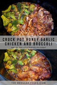 healthy crock pot meals, dump and go crock pot meals, crockpot dinner recipes