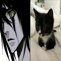 #bleach