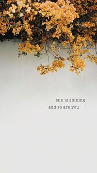 Axwell & Ingrosso - Sun is Shining sun is shining and so are you (love the lyrics <3)