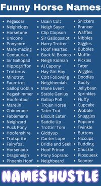 Have you ever heard a horse name that made you laugh out loud? If not, you are in for a treat with our collection of Funny Horse Names.