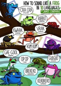 Frogs.