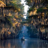 Caddo Lake, Caddo Lake State Park - Karnack, Texas USA