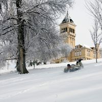 Sledding