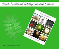 Teaching Feelings with a Sensory Emotional Intelligence Activity