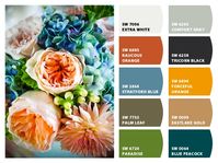 ColorSnap by Sherwin-Williams – ColorSnap by Rachel C.