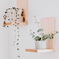 This minimal shelf is perfect for any room! We made it considering our plant lovers but can be for various uses. Showcases trailing plants, get that perfect plant shelfie~ The saw tooth hanger makes it easy to hang and gives that floating effect. With proper anchor can hold up to 10 lbs. Note: