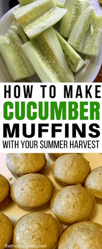 Easy Cucumber Muffins- Kid Approved!