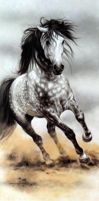 Horse Art Prints | Lesley Harrison dappled grey horse art