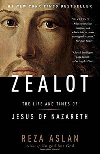 Zealot: The Life and Times of Jesus of Nazareth by Reza A... https://www.amazon.com/dp/0812981480/ref=cm_sw_r_pi_dp_x_DnwGzbJMBNJ64