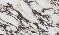 Calacatta Viola | Marble Countertop | Verona Quartz