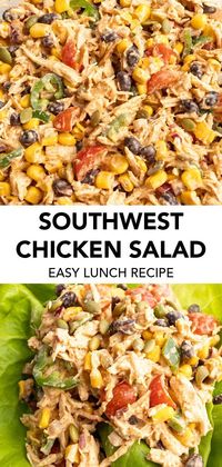 Jul 3, 2023 - This quick Southwest Chicken Salad recipe is made with shredded chicken, flavorful spices and a handful of vegetables and protein.