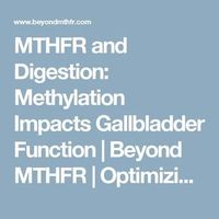 MTHFR and Digestion: Methylation Impacts Gallbladder Function | Beyond MTHFR | Optimizing Genes, Changing Lives