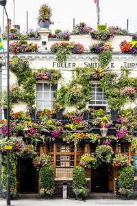 Best Pubs in London - 17 Pubs You Have to Visit in the City