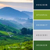 Cameron Highlands tea plantation in a misty morning Color Palette #329 - Color combination, Color pallets, Color palettes, Color scheme, Color inspiration, Colour Palettes, Art, Inspiration, Vintage, Bright, Blue, Warm, Dark, Design, Yellow, Green, Grey, Red, Purple, Rustic, Fall, Autumn, Winter, Summer 2019, Nature, Spring, Summer, Flowers, Sunset, Sunrise, Pantone