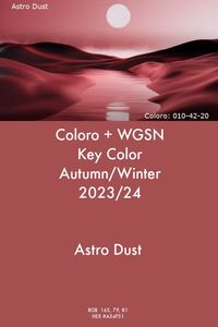 WGSN Key Color Astro Dust A/W 2023/24 #trends #color #wgsn #coloro