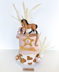 Metztli’s 6th Rodeo Cake #rodeo#cake#rodeocake#rodeobirthday#cowgirl#cowgirlcake#cowgirlbirthday#lasvegas#lasvegascakes#cake | Instagram