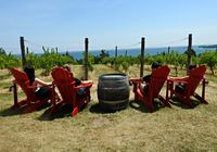 view-from-county-cider-tasting-room