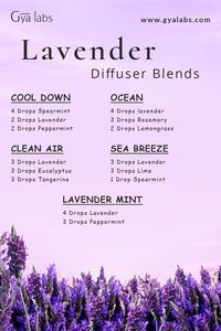 Lavender essential oil is known for its calming properties and is a popular ingredient in many aromatherapy blends. Explore these delightful lavender essential oil blends and experience their relaxing and rejuvenating effects.