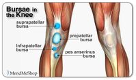 A Large Number of our Clients Have:

Decreased Inflammation in their Knee quickly.

Decreased Their Pain Quickly and Significantly

Increased the Range of Motion (ROM) in their Knee joint (reduction of atrophy)

Decreased the Incidence of Overcompensation Injuries

Decreased their Chance of Re-Injury due to Increased ROM and enhanced Blood Flow.

Decreased their Chance of Re-Injury by Learning About What Caused the Injury in the First Place.